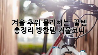 겨울❄️ 추위 물리치는 🔥 꿀템 총정리! #방한템 #겨울코디