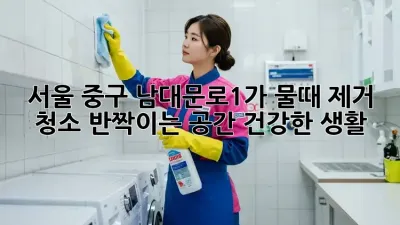 서울 중구 남대문로1가 물때 제거 청소: 반짝이는 공간, 건강한 생활